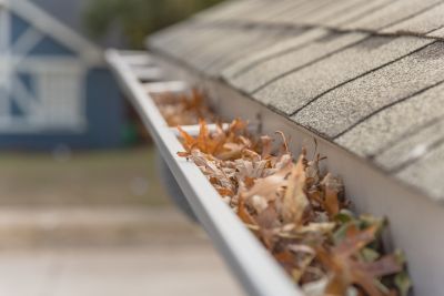 Clogged Gutters