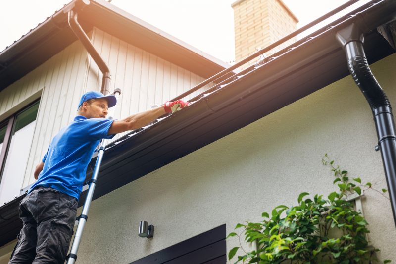 Seamless Gutter Cleaning