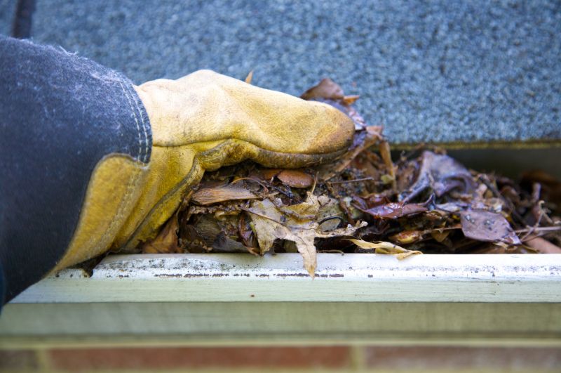 Local Gutter Cleaning Experts