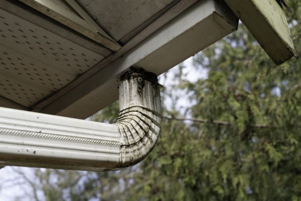 Downspout Cleaning in Hampstead
