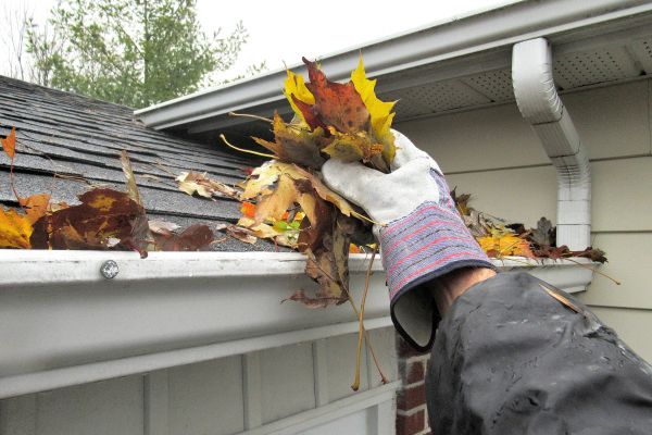 Leaf Gutter Cleaning in Hampstead