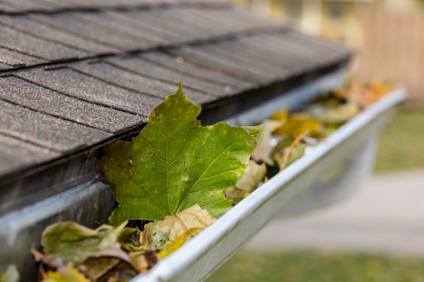 Cost of Gutter System Cleaning in Hampstead